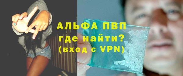 прущие грибы Балабаново