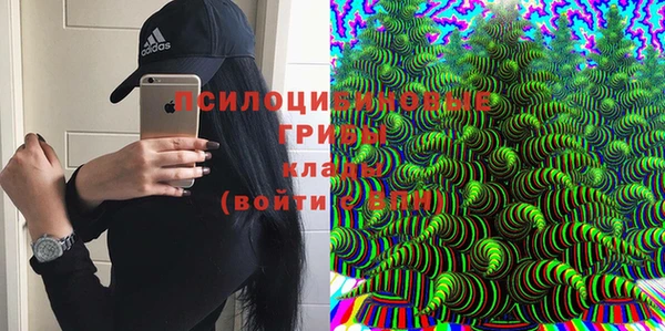 прущие грибы Балабаново