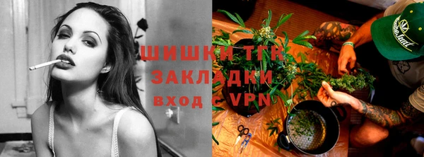 прущие грибы Балабаново