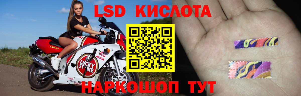 omg как войти  Лсд 25 экстази ecstasy  Вход с VPN  Глазов 