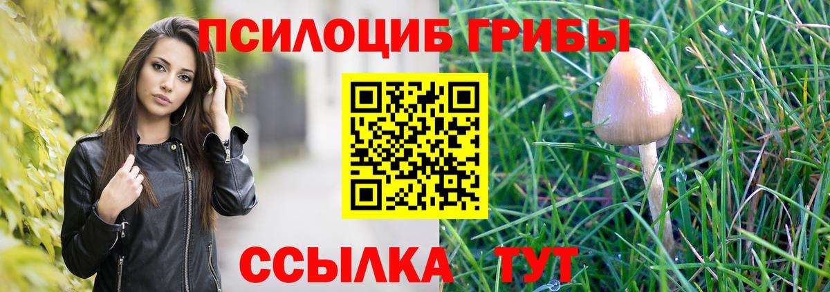 Псилоцибиновые грибы мухоморы  Галлюциногенные грибы Psilocybe  Глазов  Вход с VPN 