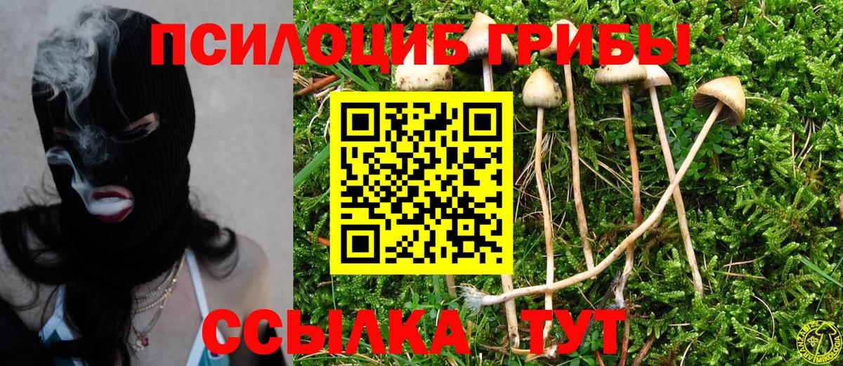 Галлюциногенные грибы мицелий Глазов