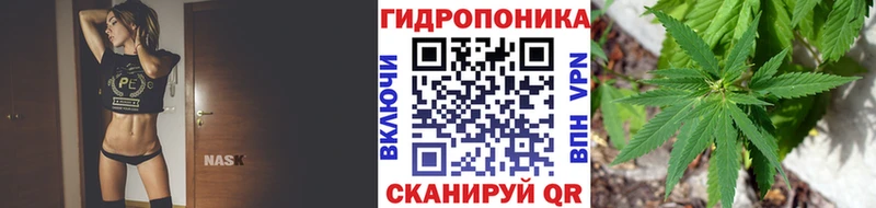 Конопля OG Kush  кракен вход  Глазов 